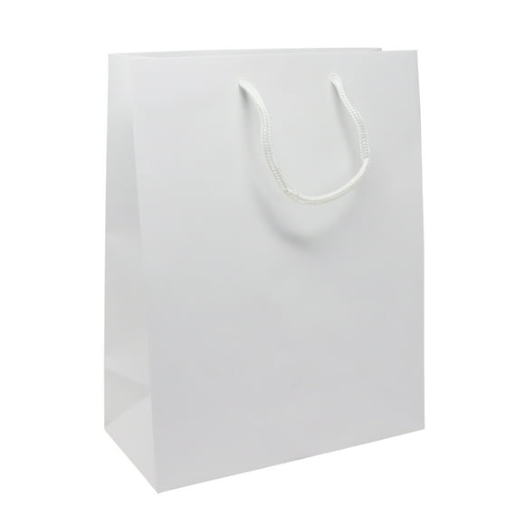 White Matte Tote Luxury Bags, Reusable Sacks with Thick Top Handle for Better Grip, Great for Gifts, Party Favors, Goodies, Retail and More - Multiple Sizes! - (10, 30, 50, 100 Counts) - Creative Bag