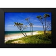 thumbnail image 2 of Hausenflock, Alan 24x17 Black Modern Framed Museum Art Print Titled - Cedar Inlet, 2 of 5
