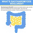 thumbnail image 3 of Probióticos Trehealth Saccharomyces Boulardii 200 mil millones de UFC, 3 of 8