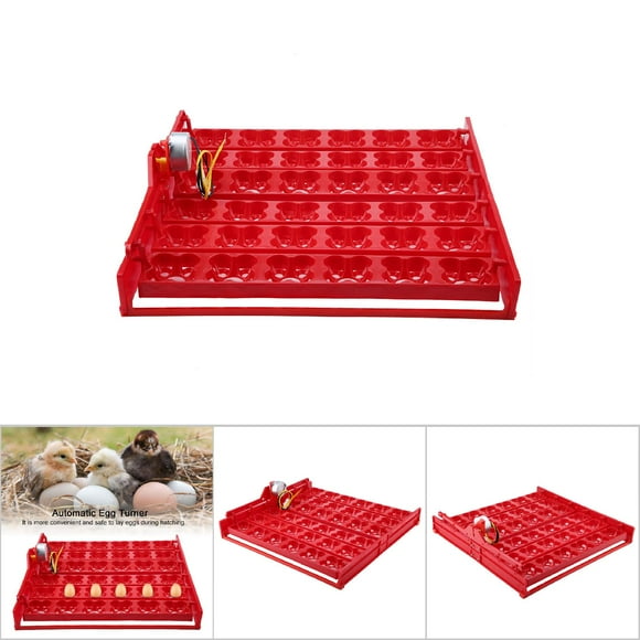 Eggs Hatcher, Eggs Incubator, 36 Eggs Automatic Red for Bird Eggs Incubator Egg Strips