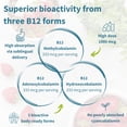 thumbnail image 4 of Igennus Sublingual Vitamin B12 Complex 1000mcg, Methylated Methylcobalamin, Adenosylcobalamin & Hydroxocobalamin, High Absorption & Clean, 180 Servings, Sugar-Free & Vegan, 4 of 11