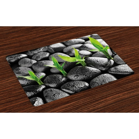 Plant Placemats Set of 4 Basalt Stones with Bamboo Leaves Sticking Water Droplets Harmony of Nature, Washable Fabric Place Mats for Dining Room Kitchen Table Decor,Dark Taupe Lime Green, by (Best Place To Plant Bamboo)