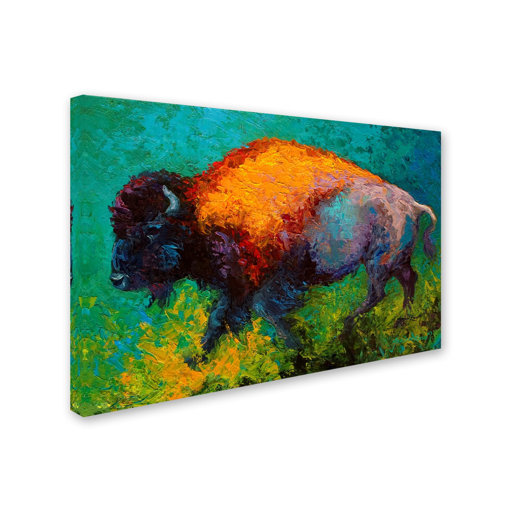 Marion Rose 'On The Run Bison' Canvas Art