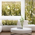 thumbnail image 1 of Champ de Fleurs de Camomille Sauvages, 1 of 3