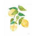 thumbnail image 2 of Prahl, Courtney 15x18 White Modern Wood Framed Museum Art Print Titled - Summer Lemons I, 2 of 4