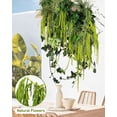 thumbnail image 7 of Duslogis 5 Pcs Real Preserved Amaranthus Hanging Wedding Flowers - 16''-28'' Bleached Dried Flowers for Wedding Arch Flowers, Wisteria Flowers Arrangement, Garlands, Home Decor (Light Green), 7 of 7