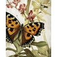 thumbnail image 2 of Kimberly, Allen 12x14 Black Ornate Wood Framed with Double Matting Museum Art Print Titled - Butterfly World 2, 2 of 4