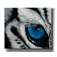 thumbnail image 1 of Epic Graffiti 'Tiger Eye' by Jan Henderson, Giclee Canvas Wall Art, 30"x26", 1 of 2