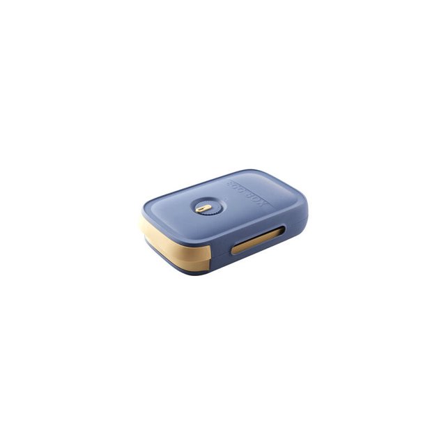 Jinsinto Drawer Type Egg Storage Box Refrigerated Storage Box Cool Storage Box Dumpling Box Household Egg Holder Food Storage Egg Box Blue 32X21cm