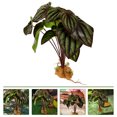 thumbnail image 1 of QUMIIRITY Planta Artificial Para Terrarios Para Reptiles Con Base Estable Multicolor, 1 of 7