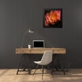 thumbnail image 4 of Carson, Brian 20x20 Black Modern Framed Museum Art Print Titled - Pink Camelia, 4 of 5