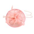 thumbnail image 3 of Horquilla Sombrero Clip de de Velo Decoración de Boda para Señora Nupcial Hairclip Headpiece Negro/Azul/Rosado Macarena Velo de novia de la horquilla, 3 of 8
