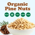 thumbnail image 5 of Organic Pine Nuts, 4 Ounces — Non-GMO, Kosher, Raw, Vegan — by Food to Live, 5 of 9