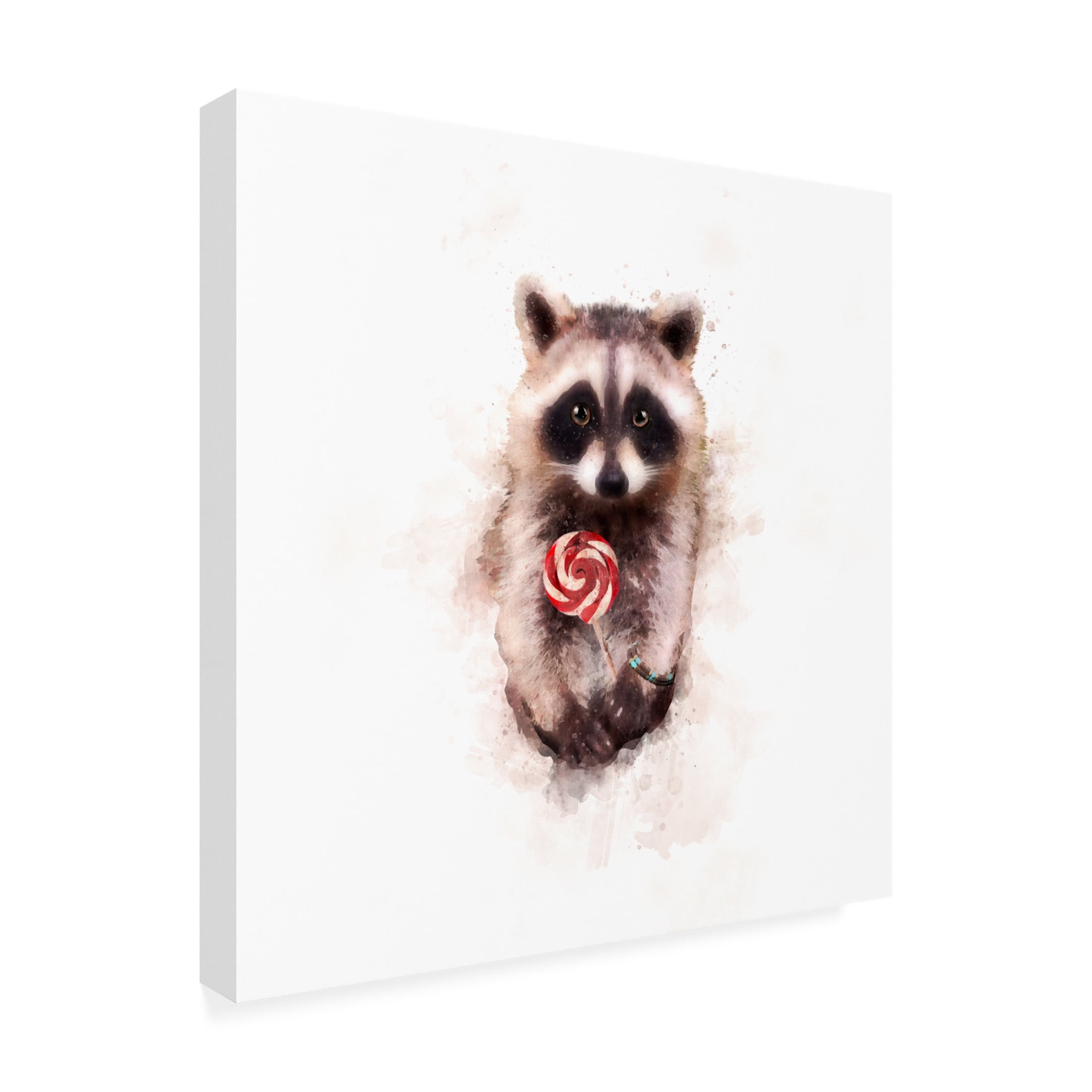 Trademark Fine Art Emel Tunaboylu  Baby Racoon Canvas Wall Art