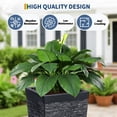 thumbnail image 6 of Ataujin Self-Watering Tall Planters Set of 2, 16" Large Square Plastic Flower Pots with Water Level Gauge, Drainage Holes & Built-in Handles for Indoor Outdoor Patio, 6 of 9