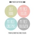 thumbnail image 5 of Baby Monthly Stickers | Baby Milestone Stickers | Newborn Stickers | Month Stickers for Baby Girl | Baby Girl Stickers | Newborn Monthly Milestone Stickers (Set of 24), 5 of 6