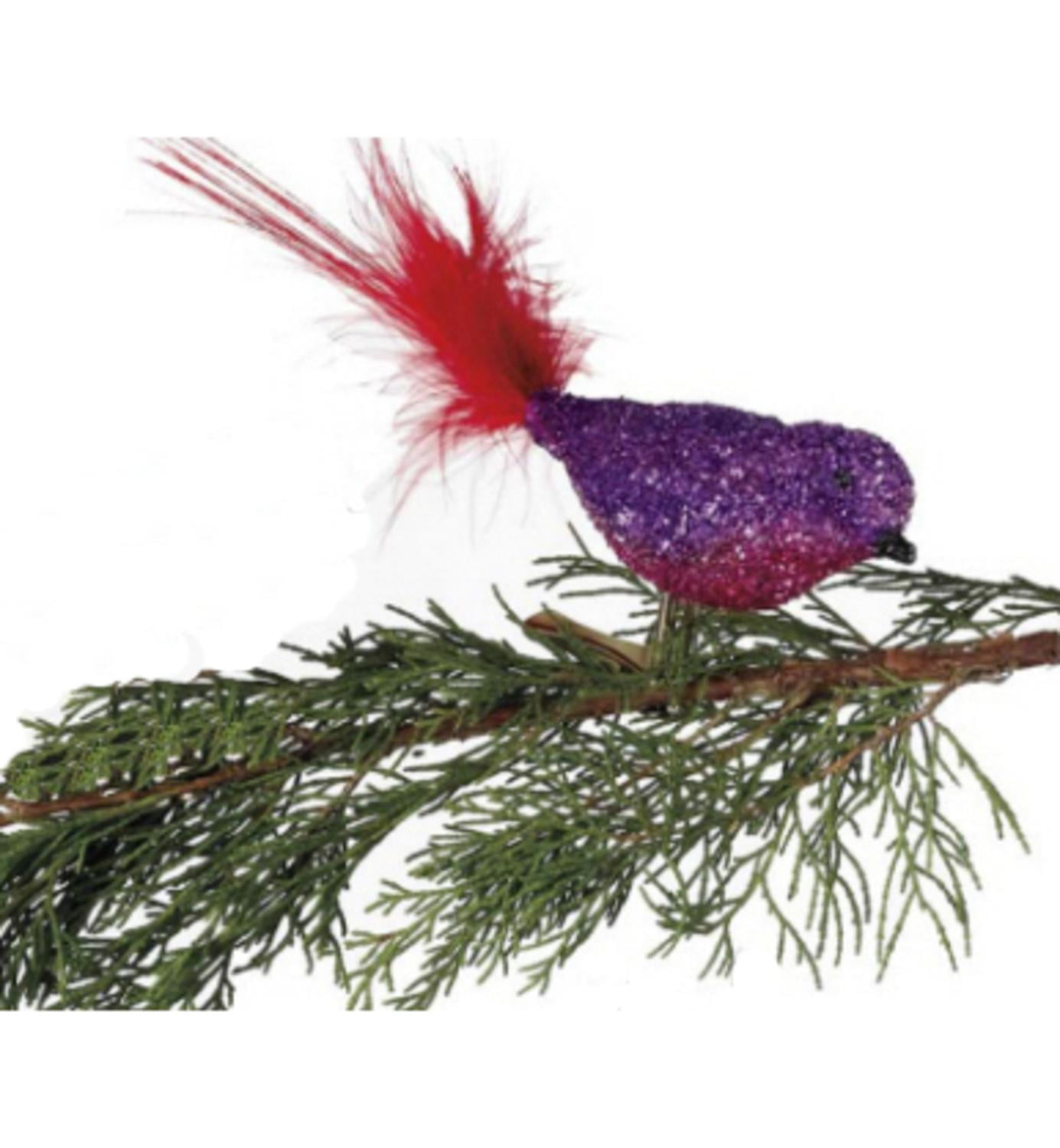 Bird Christmas Clip On Ornaments Feathered Set of 5 Midwest Glassworks 