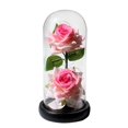 thumbnail image 1 of CNKOO Glass Rose Light Battery Powered Romantic Durable Two Artificial LED Roses Flower Gift for Valentine‘s Day, 1 of 10
