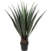 Northlight 31.5" Aloe Succulent Artificial Potted Plant - Green