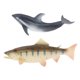 thumbnail image 1 of Simulación De Animales Sunnimix Juguetes Educativos 2x Kids Science Nature, 1 of 8
