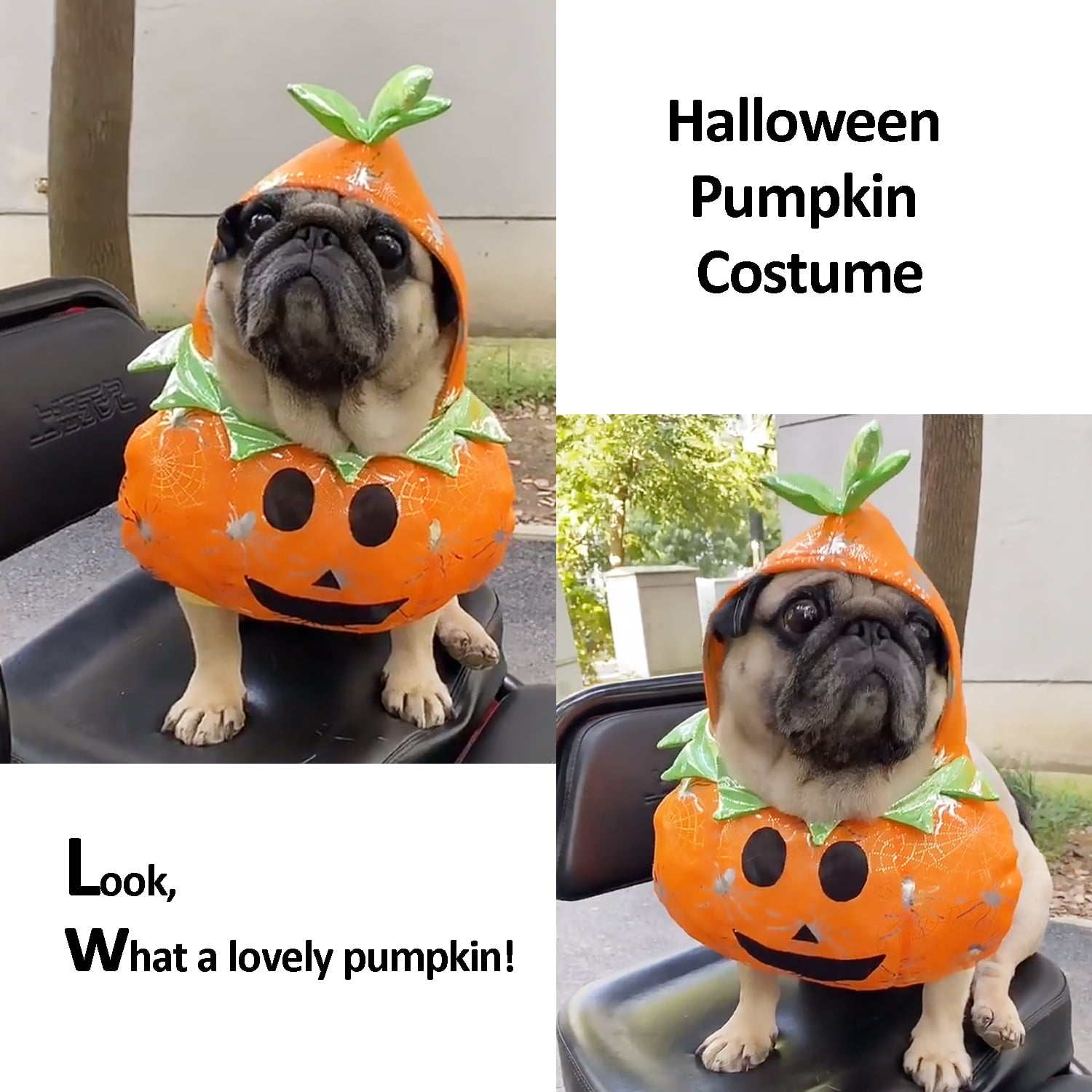 Miflame Pet Apparel Halloween Pumpkin Outfit Small Medium Dogs