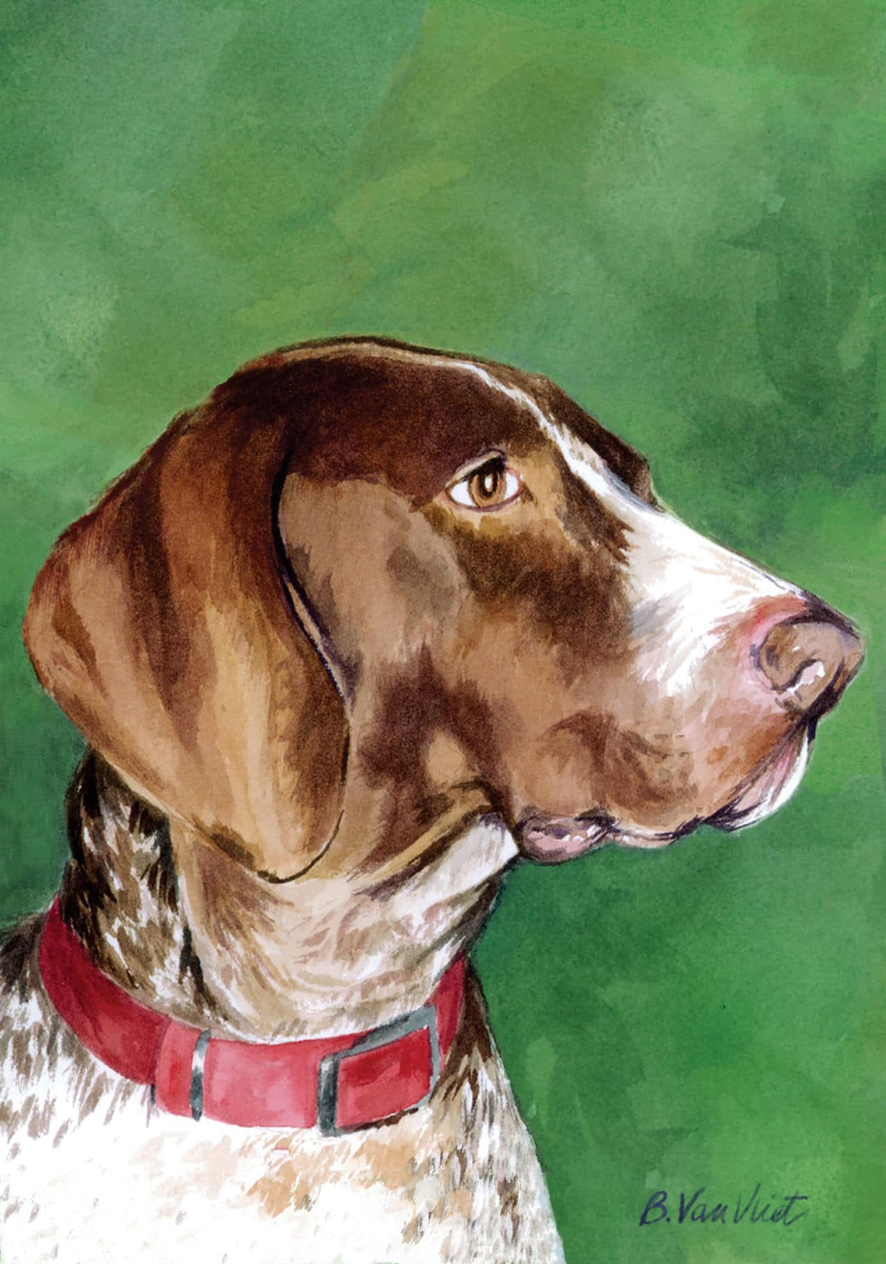 German Shorthair Pointer - Barbara Van Vliet Portrait Large Flag ...