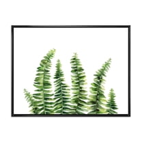 Designart 'Fern Plant Leaves Detail II' Farmhouse Framed Canvas Wall Art Print