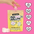 Max Mallow Birthday Cake Guilt Zero Sugar Marshmallows Low Carb