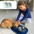 thumbnail image 4 of Dog bowl cat bowl integrated drinking cat food bowl dog bowl cat bowl stainless steel pet feeding BLUE-L, 4 of 5