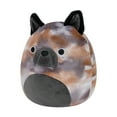 thumbnail image 3 of Squishmallows 8" French Bulldog - Ballis, The Stuffed Animal Toy, 3 of 7
