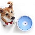 thumbnail image 5 of No Spill Water Bowl for Dog Slow Feeder Dish Dog Feeder Pet Slow Feeder Bowl Drinking Feeder Dog Wa, 5 of 5