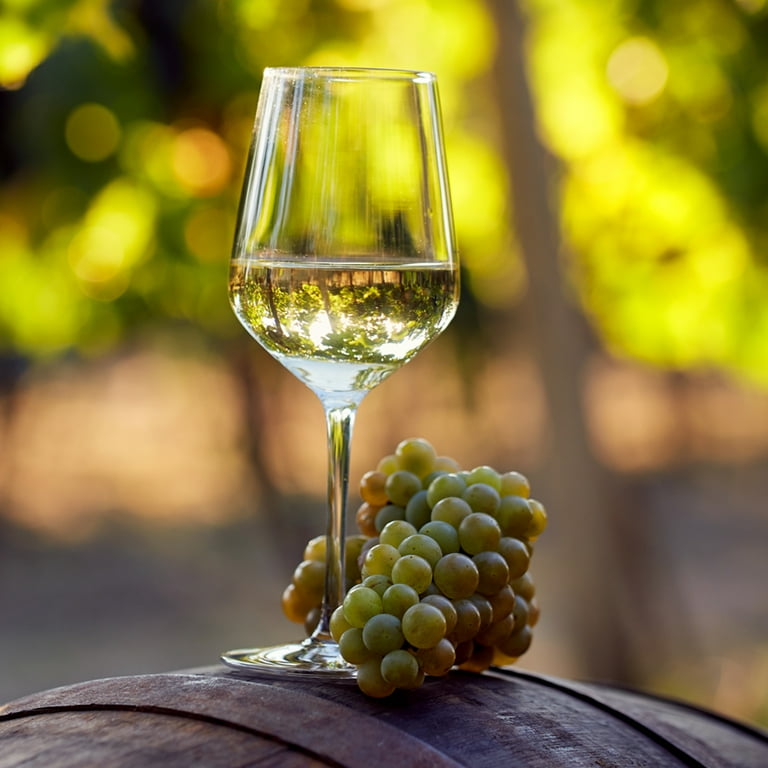 Van Zyverden Premium Grafted Bareroot Seeded Grape Vine Chardonnay