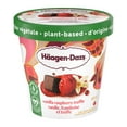 thumbnail image 1 of HÄAGEN-DAZS Plant-based Vanilla Raspberry Truffle Frozen Dessert, Vegan, Made With Oats, 1 of 6