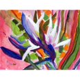 thumbnail image 1 of Betsys Tapis Oiseau de Paradis - Ensemble de 4, 1 of 1