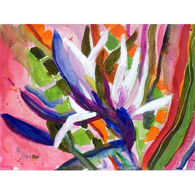 Betsys Tapis Oiseau de Paradis - Ensemble de 4