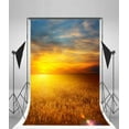 thumbnail image 3 of ABPHOTO Polyester 5x7ft Photography Backdrop Nature Golden Wheat Field Sunrise Photo Background Backdrops for Photography Photo Shoots Party Adults Kids Wedding Personal Portrait Photo Studio Props, 3 of 4