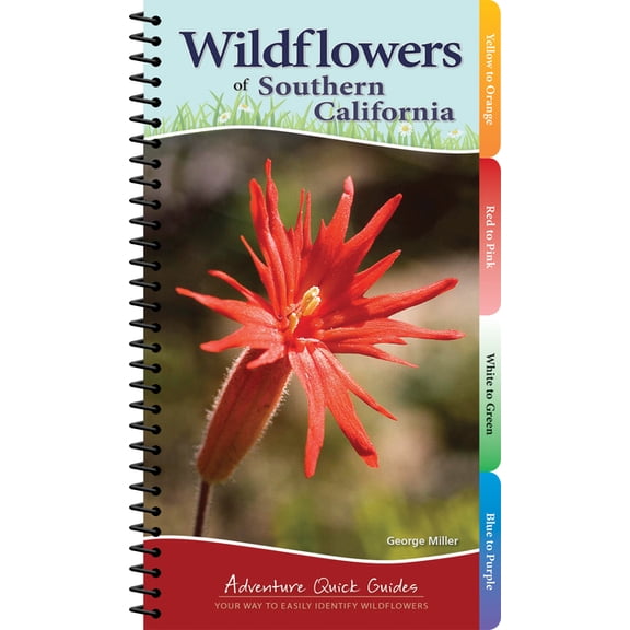 Adventure Quick Guides Wildflowers of Southern California: Your Way to Easily Identify Wildflowers, (Spiral-Bound)