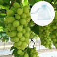 thumbnail image 4 of Sywqhk Bolsa de red antipájaros Bolsa de malla de protección de frutas, uvas y verduras (azul claro) Sywqhk Para estrenar, 4 of 9