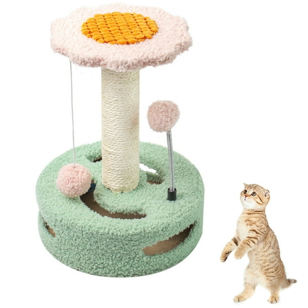 Kitten scratcher shop