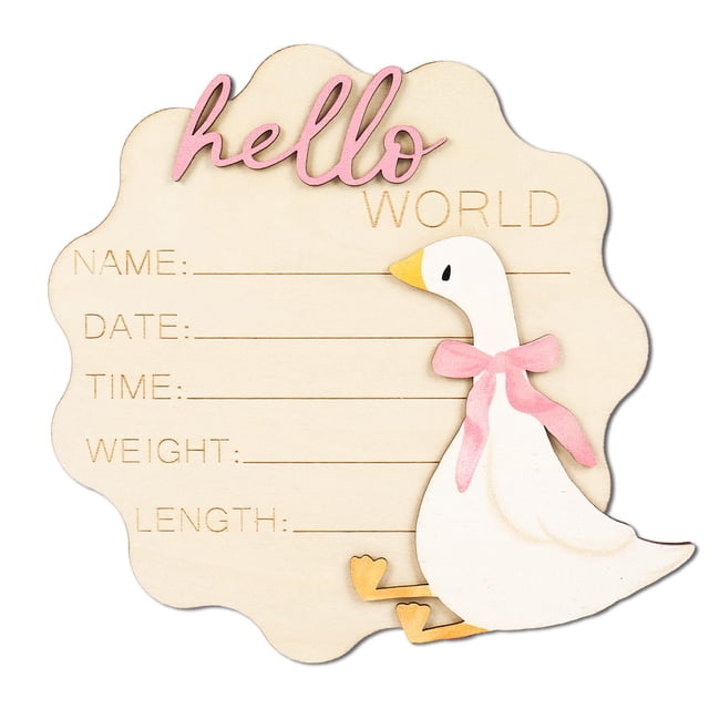 Letrero de anuncio para bebé FYSUIMU Silly Goose Pink Bow Wood