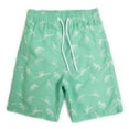 thumbnail image 2 of Akiihool Quick Dry Boys Swim Trunks Boys Swim Trunks Swim Shorts Quick Dry Bathing Suit Swimwear (Light Green,5-6 Years), 2 of 9