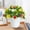 A, variant on Artificial Potted Plants for Home Decor - Realistic Fake Greenery for Tabletop Shelf Decoration - DIY Landscape Simulation Flowers - Restaurant Office Bedroom Beautification