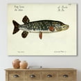 thumbnail image 2 of Designart ' Portrait Of A Green Fish On Beige ' Nautical & Coastal Canvas Wall Art Print, 2 of 4