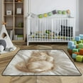 thumbnail image 3 of WOBOGO Sleeping Cat Baby Playmats Extra Large Waterproof Rollable Activity Pads for Toddlers 50×50inch, 3 of 7