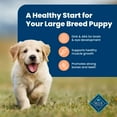 thumbnail image 4 of Blue Buffalo Life Protection Formula Large Breed Dry Puppy Food, Chicken & Rice, 34 lbs., 4 of 11