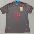 thumbnail image 1 of Fc Bayern 125Th Anniversary Grey Short Sleeve Jersey, 1 of 2
