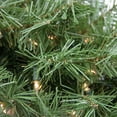 thumbnail image 2 of Northlight 36" Pre-Lit Northern Frasier Fir Artificial Christmas Teardrop Swag - Clear Lights, 2 of 2