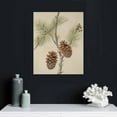 thumbnail image 4 of COMIO Rustic Pine Cones by Arnie Fisk 12" x 16" Gallery Wrapped Canvas Wall Art Print - Ready to Hang, 4 of 4