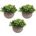 thumbnail image 1 of Mistaha 3Pcs Mini Artificial Potted Plants Faux Green Grass Pot Simulation Greenery Decor for Home Office Desktop Decoration, 1 of 8