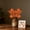 B, variant on Thanksgiving Halloween Decoration Simulation Maple Leaf Decorated Maple Leaf Pumpkins Thanksgiving Day Decoration Simulation Planting Maple Leaves